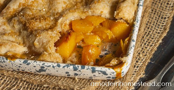 Double Crust Southern Peach Cobbler - The perfect summer dessert!