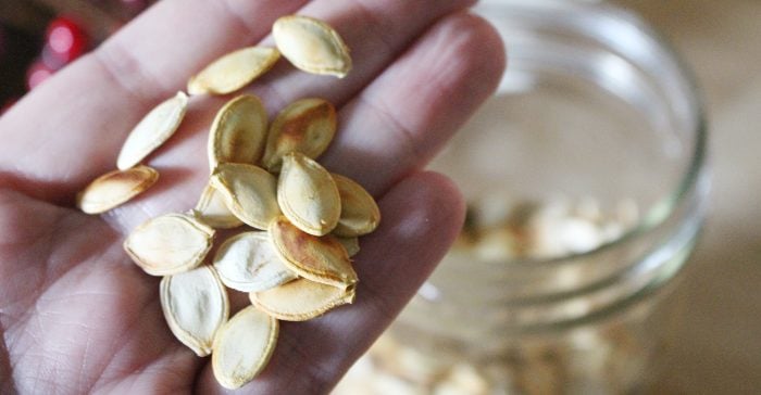 Zucchini seeds in a hand, ready to plant