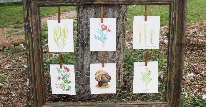 Free Vintage Printables for Fall