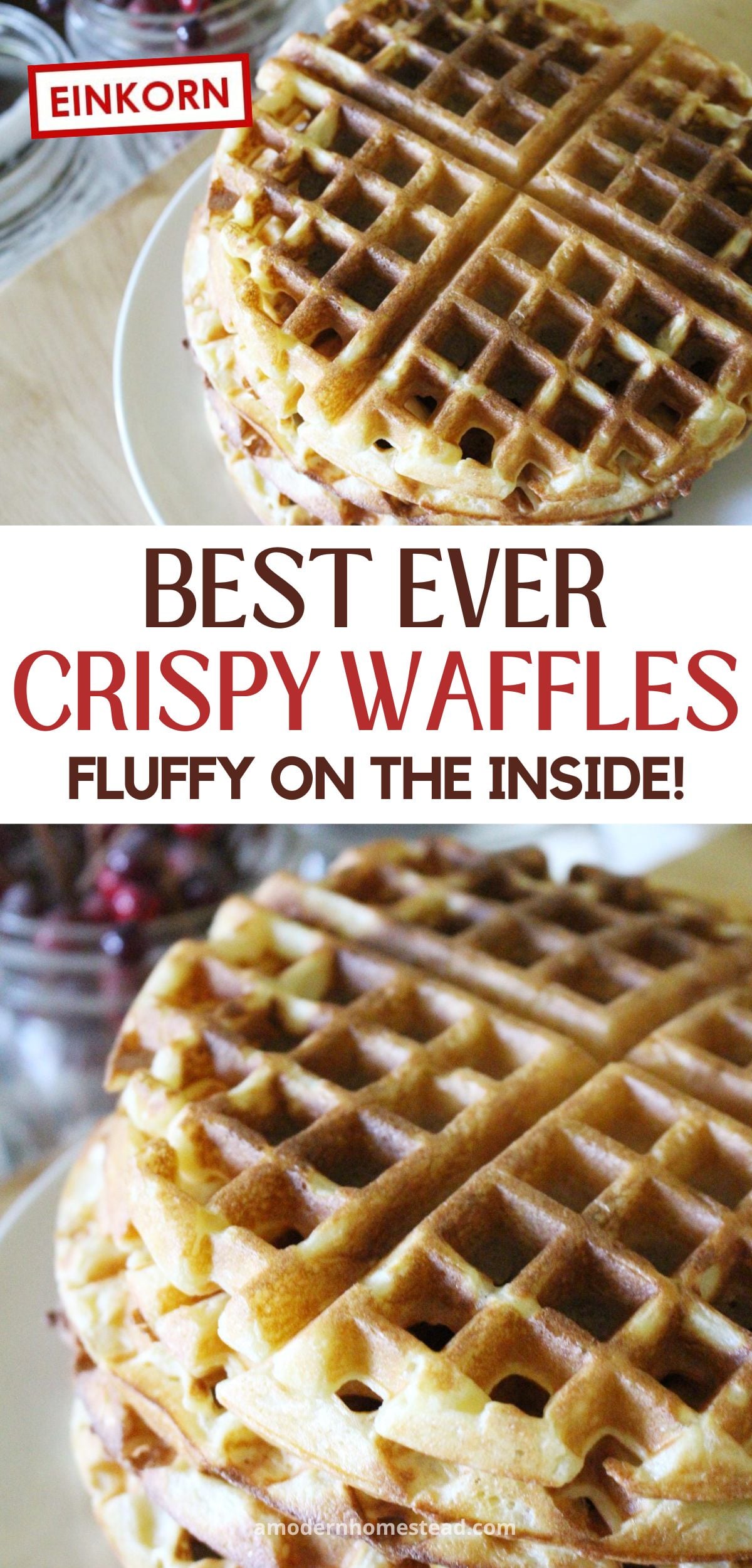 Stack of finished einkorn waffles on a white plate with text that says einkorn best ever crispy waffles fluffy on the inside
