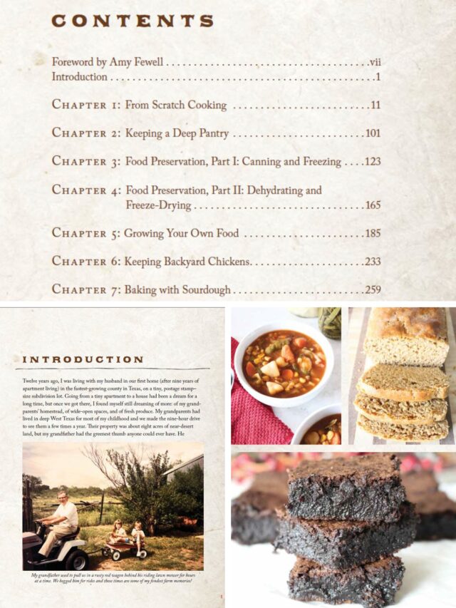 Creating a Modern Homestead: Traditional Skills for Real, Everyday Life ...