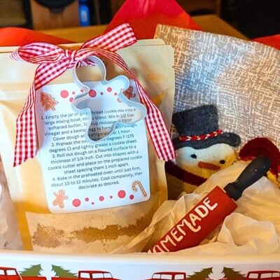 finished gingerbread cookie mix in a bag gift