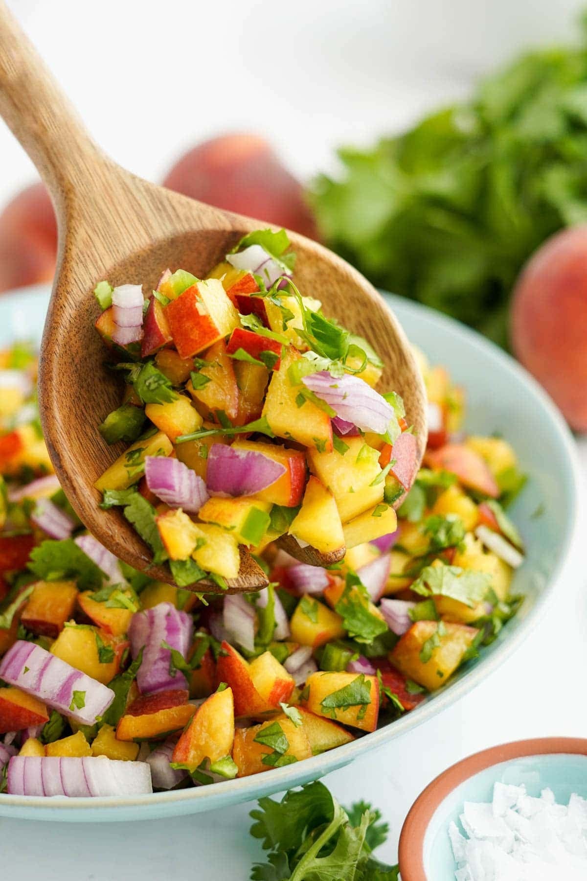 Fresh Peach Salsa in a bowl, a spoon lifting out a serving