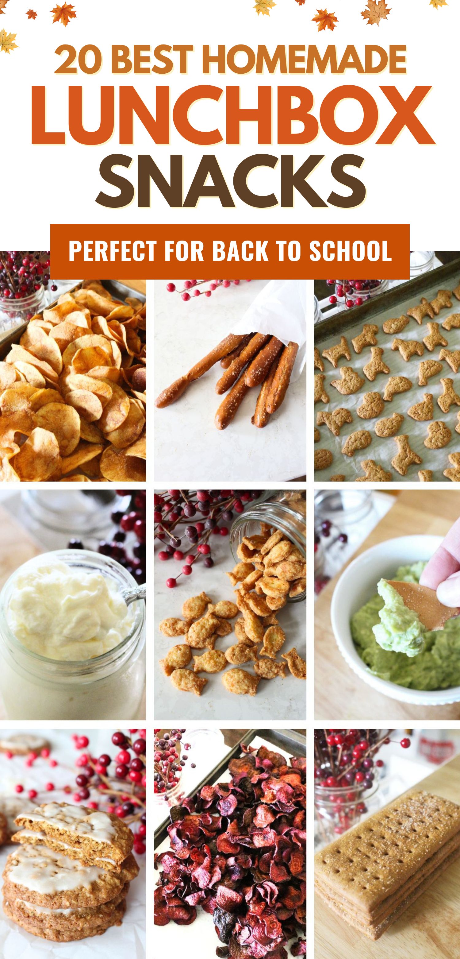 a 9 panel image with homemade lunch box snacks, including potato chips, pretzels, animal crackers, yogurt, goldfish, guacamole, iced oatmeal cookies, beet chips, and graham crackers. A text overlay reads 20 best homemade lunchbox snacks perfect for back to school.
